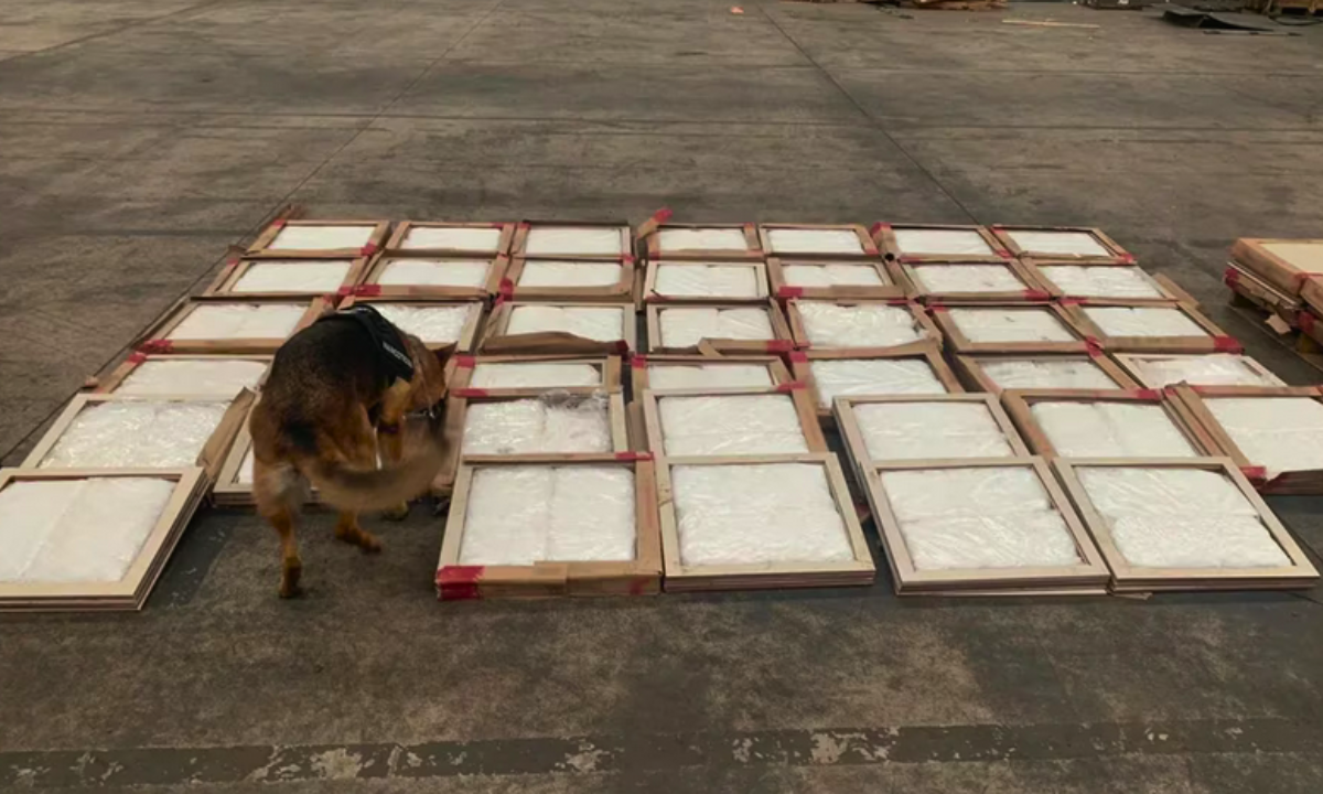 Golpe al narco: aseguraron más de 170 kilos de cristal en Sonora ocultos en losetas