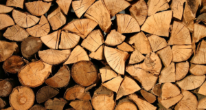 Prohibida la venta de leña en Nogales