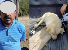 Detienen a sujeto por dispararle a un perro, ya lo llevaba al basurero