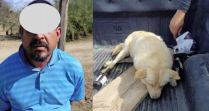 Detienen a sujeto por dispararle a un perro, ya lo llevaba al basurero