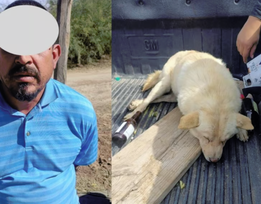 Detienen a sujeto por dispararle a un perro, ya lo llevaba al basurero