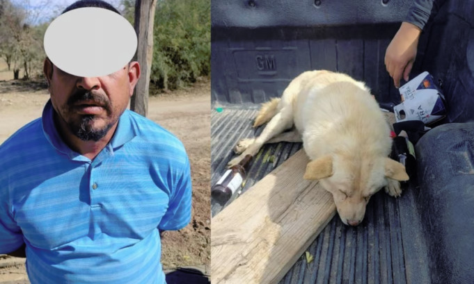 Detienen a sujeto por dispararle a un perro, ya lo llevaba al basurero