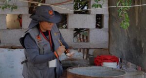 Sin casos positivos de dengue se mantiene Sonora este año: Salud Sonora