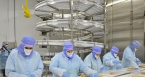 Registra Sonora 14 mil empleos nuevos en 2024