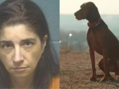 Mujer es acusada de producir y publicar videos en los que supuestamente abusaba sexualmente de su perro