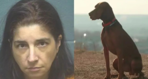 Mujer es acusada de producir y publicar videos en los que supuestamente abusaba sexualmente de su perro