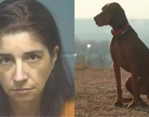 Mujer es acusada de producir y publicar videos en los que supuestamente abusaba sexualmente de su perro