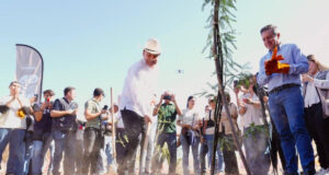 Gobernador Durazo proyecta legado ambiental con plantación de más de 4 mil árboles en La Sauceda