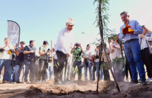 Gobernador Durazo proyecta legado ambiental con plantación de más de 4 mil árboles en La Sauceda
