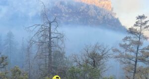 Gobierno de Sonora logra importante avance en el control y liquidación del incendio forestal en Agua Prieta