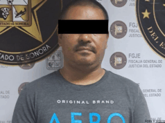 Vinculan a proceso a hombre por envenenar a ocho perros en Nogales; cuatro murieron