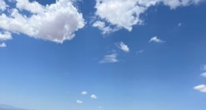 Gobierno de Sonora logra liquidación total del incendio forestal en la Sierra Los Ajos