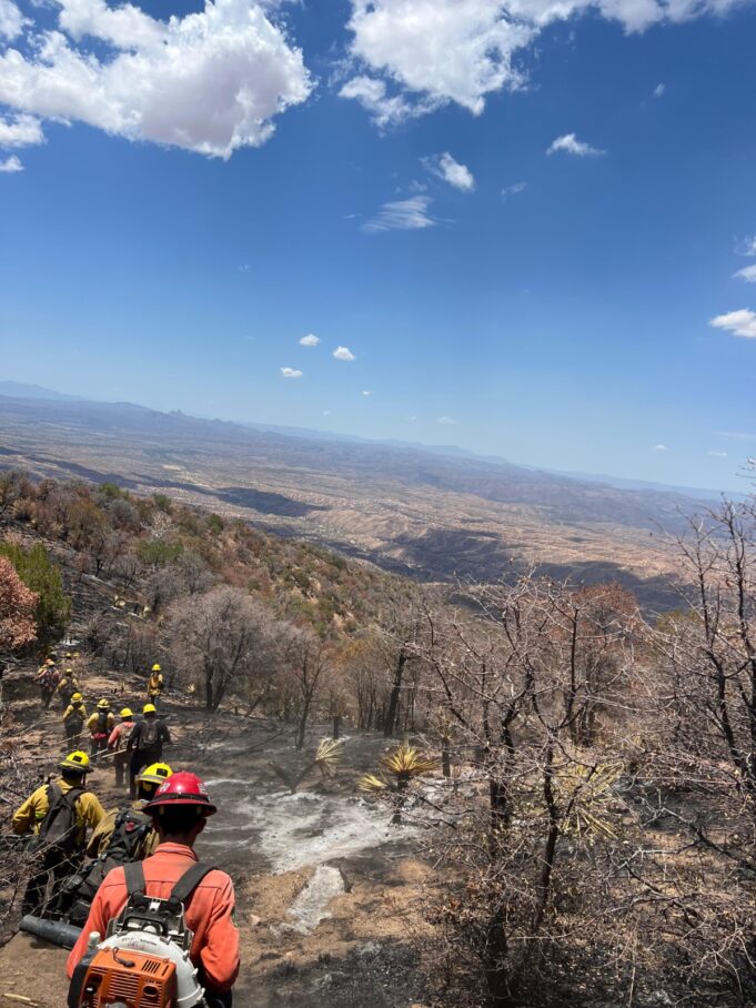 Gobierno de Sonora logra liquidación total del incendio forestal en la Sierra Los Ajos