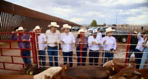 Gobernador Durazo reanuda exportación de ganado a Estados Unidos; Sonora es el primer estado en México