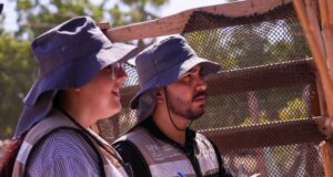 Gobierno de Sonora intensifica acciones de prevención contra el dengue en todo el estado