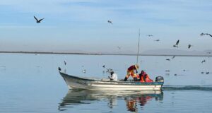 Gobierno de Sonora celebra premios nacionales a proyectos pesqueros sustentables