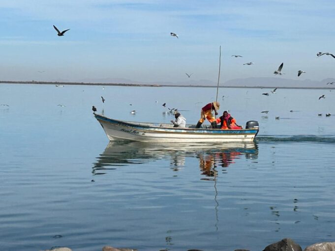 Gobierno de Sonora celebra premios nacionales a proyectos pesqueros sustentables