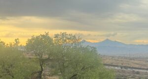 Inhabilita Gobierno de Sonora puntos de vigilancia en zona fronteriza