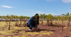 Gobierno de Sonora celebra foro en el marco del Día Mundial de los Humedales