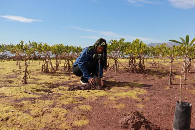 Gobierno de Sonora celebra foro en el marco del Día Mundial de los Humedales