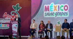 Durazo consolida a Sonora como líder en producción de uva de mesa