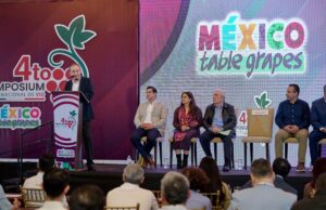 Durazo consolida a Sonora como líder en producción de uva de mesa