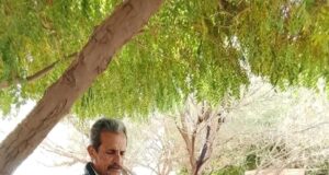 Anuncia Salud Sonora nuevas jornadas de las Clínicas Móviles en Cajeme, Cananea, Bacoachi y Hermosillo