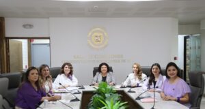 Comisión para la Igualdad de Género del Congreso de Sonora revisa ponencias para el Octavo Parlamento de las Mujeres