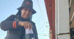Refuerza Salud Sonora acciones preventivas contra el dengue