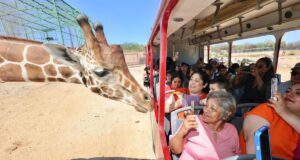 Gobierno de Sonora registra alta afluencia en el Centro Ecológico durante Semana Santa