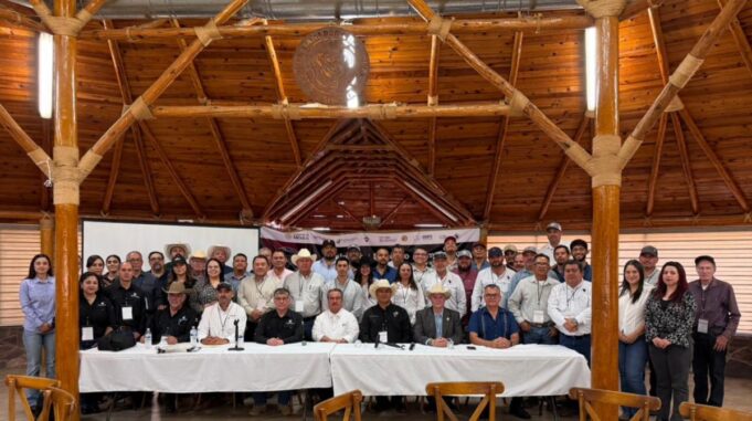 Refuerzan Gobierno de Sonora y Federación acciones contra gusano barrenador Hermosillo, Sonora; 18 de mayo de 2026.– El Gobierno de Sonora, a través de la Secretaría de Agricultura, Ganadería, Recursos Hidráulicos, Pesca y Acuacultura (Sagarhpa), inició un simulacro preventivo ante una eventual llegada del gusano barrenador del ganado, con el objetivo de fortalecer la capacidad de respuesta y mantener el alto estatus sanitario del estado, en coordinación con autoridades sanitarias, academia y gobiernos municipales. La titular de Sagarhpa, Celida López Cárdenas, y la Secretaría de Agricultura y Desarrollo Rural (Sader) destacaron que actualmente la entidad se mantiene libre de la presencia del gusano barrenador del ganado; sin embargo, ante el avance de la mosca portadora de esta plaga en territorio nacional, se han reforzado las acciones de vigilancia y prevención para proteger la sanidad pecuaria del estado. Armando García López, director de la Comisión México-Estados Unidos para la Prevención de la Fiebre Aftosa y Otras Enfermedades Exóticas de los Animales, explicó que este ejercicio forma parte de una estrategia interinstitucional que involucra a la academia, la Unión Ganadera Regional de Sonora (UGRS) y a los gobiernos estatal y municipal, para actuar de manera inmediata en caso de detectarse algún caso sospechoso, luego de que esta enfermedad reapareciera en México tras más de 30 años de haber sido erradicada. Detalló que el gusano barrenador afecta a animales de sangre caliente y también representa un riesgo para los humanos, por lo que es fundamental reforzar las medidas preventivas en el manejo del ganado, particularmente la atención inmediata de heridas y curaciones en ombligos de becerros, lesiones ocasionadas por cercos, alambres o peleas entre animales. El funcionario federal señaló que una de las principales acciones preventivas consiste en mantener supervisadas las instalaciones pecuarias para evitar lesiones que puedan contaminarse, además de fortalecer la cultura sanitaria entre productores, médicos veterinarios y trabajadores del sector ganadero. Reconoció que Sonora cuenta con un estatus sanitario ejemplar a nivel nacional, derivado del trabajo permanente en inspección pecuaria, vigilancia epidemiológica y control de movilización de ganado, además de contar con puntos de inspección estratégicos y una baja afluencia de ganado proveniente del sur del país. Destacó que, aunque existen factores naturales como la fauna silvestre y las aves migratorias que podrían influir en la dispersión de la mosca, las acciones implementadas por Sonora permiten una respuesta más rápida y eficiente, consolidando al estado como la entidad mejor preparada del país para prevenir y contener la enfermedad.