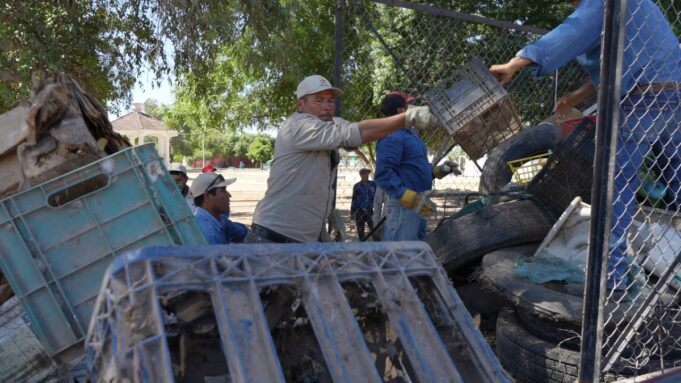 prevención y combate Secretaría de Salud fortalece acciones permanentes para la prevención y combate del dengue en Sonora