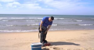 Playas de Sonora están listas para recibir a las y los vacacionistas: Secretaría de Salud