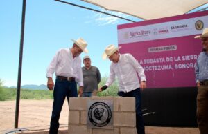 Con apoyo de presidenta Sheinbaum, Gobernador Durazo inicia construcción de Subasta ganadera de la sierra en Moctezuma