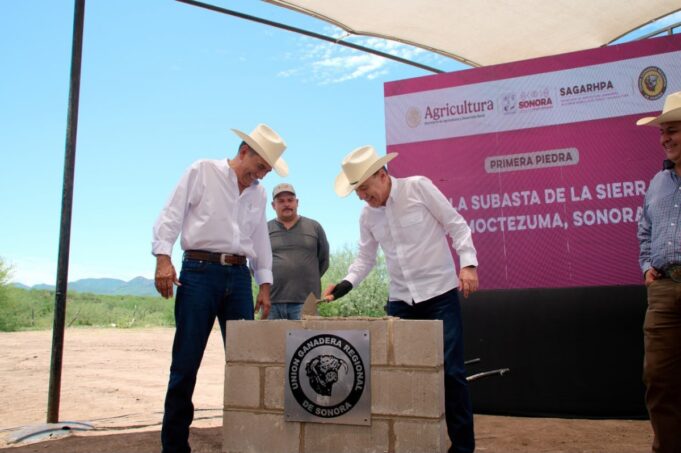 Con apoyo de presidenta Sheinbaum, Gobernador Durazo inicia construcción de Subasta ganadera de la sierra en Moctezuma