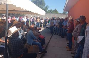 Gobierno de Sonora y Senasica intensifican acciones sanitarias para proteger al sector ganadero Gobierno de Sonora y Senasica intensifican acciones sanitarias para proteger al sector ganadero